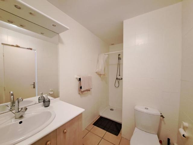 Location Appartement 1 pièce 17m² TROYES 10000