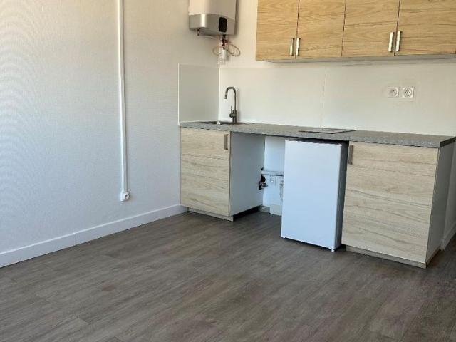 Location Appartement 1 pièce 18m² LYON 7ème