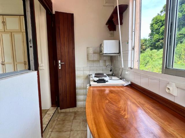 Location Appartement 1 pièce 18m² ST CLAUDE 97120