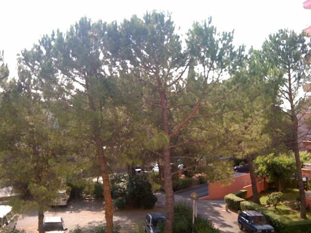 Location Appartement 1 pièce 19 m2 Montpellier