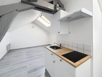 Location Appartement 1 pièce 19 m2 Nancy