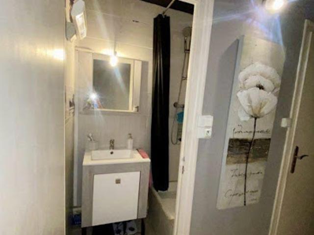 Location Appartement 1 pièce 19 m2 Lyon 1er