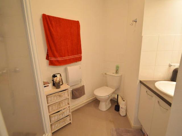 Location Appartement 1 pièce 19 m2 Lyon 7ème