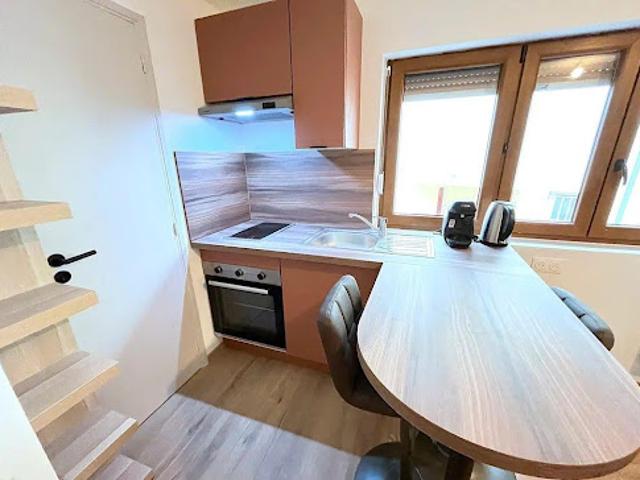 Location Appartement 1 pièce 19 m2 Strasbourg