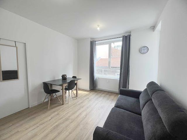 Location Appartement 1 pièce 19 m2 Saint Etienne