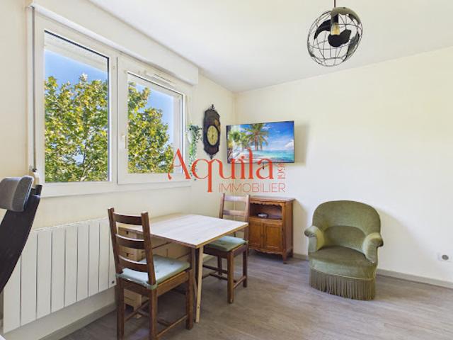 Location Appartement 1 pièce 19.55 m2 Villeurbanne