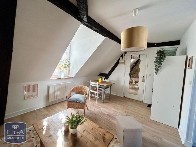 Location Appartement 1 pièce 19m² TOURS 37000