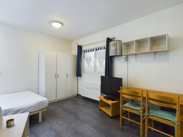 Location Appartement 1 pièce 19m² VILLEURBANNE 69100