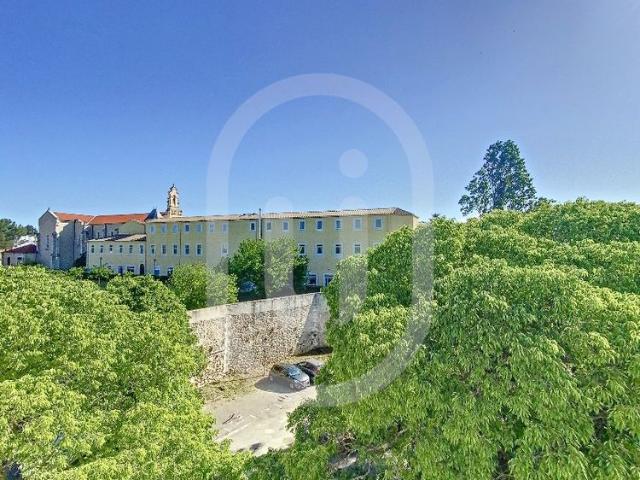 Location Appartement 1 pièce 19m² MONTPELLIER 34090