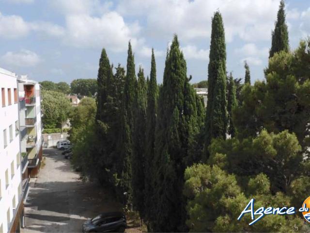 Location Appartement 1 pièce 19m² MONTPELLIER 34000
