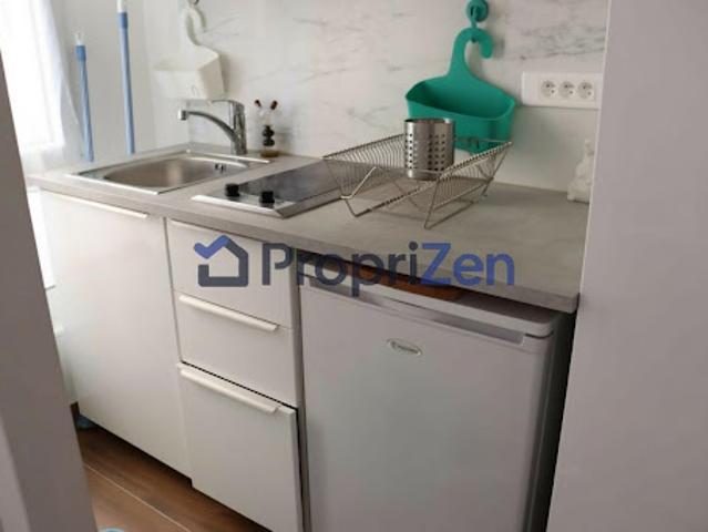 Location Appartement 1 pièce 10 m2 Paris 19ème