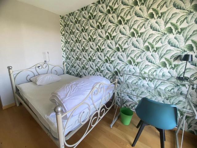Location Appartement 1 pièce 11m² BORDEAUX 33300