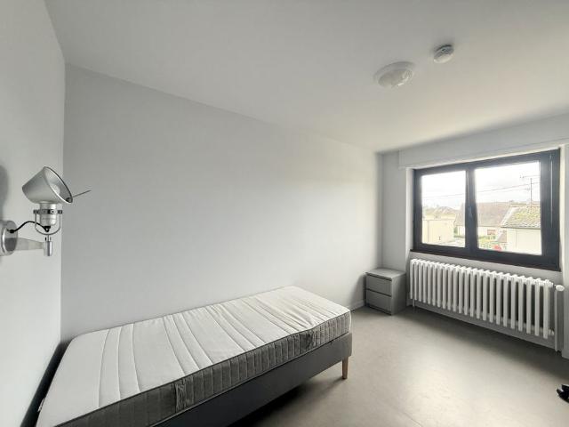 Location Appartement 1 pièce 12m² MITTELHAUSBERGEN 67206