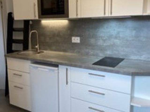 Location Appartement 1 pièce 24 m2 Corte