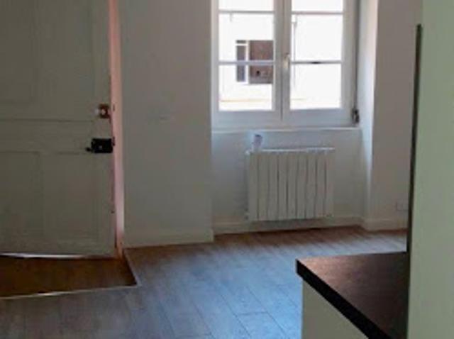Location Appartement 1 pièce 24 m2 Lyon 1er