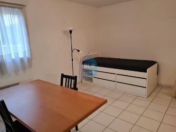 Richter, La Languedocienne Montpellier, Maurin, Hérault, Languedoc-Roussillon