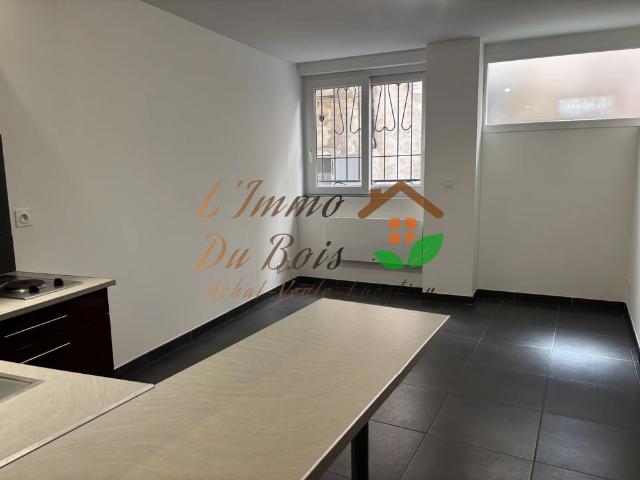 Location Appartement 1 pièce 25m² VIENNE 38200