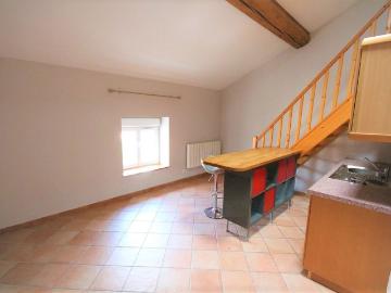 Location Appartement 1 pièce 25m² CHAMPAGNE AU MONT D OR 69410