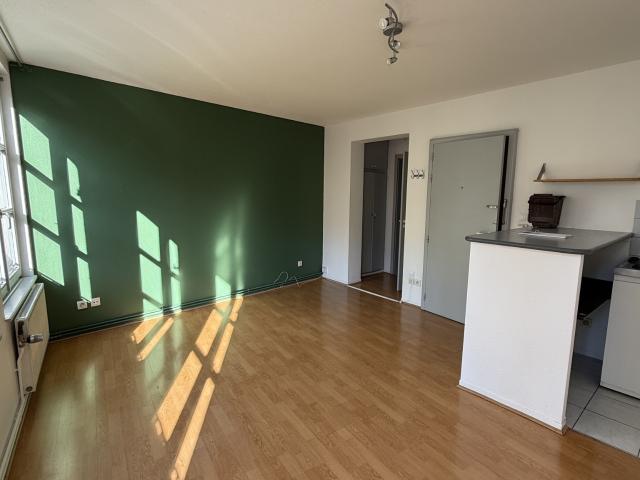 Location Appartement 1 pièce 25m² STRASBOURG 67000