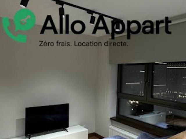 Location Appartement 1 pièce 26 m2 Lyon 1er