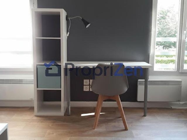 Location Appartement 1 pièce 26 m2 Lyon 7ème