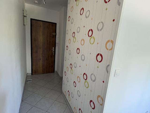 Location Appartement 1 pièce 26 m2 Vierzon