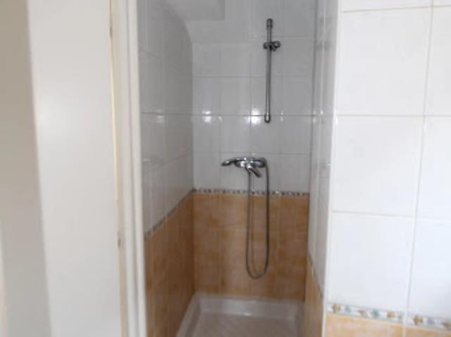 Location Appartement 1 pièce 26 m2 Vizille