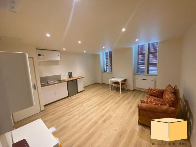 Location Appartement 1 pièce 26m² BELLEY 01300
