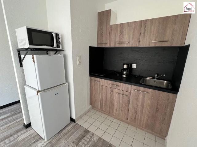 Location Appartement 1 pièce 26m² SARREBOURG 57400