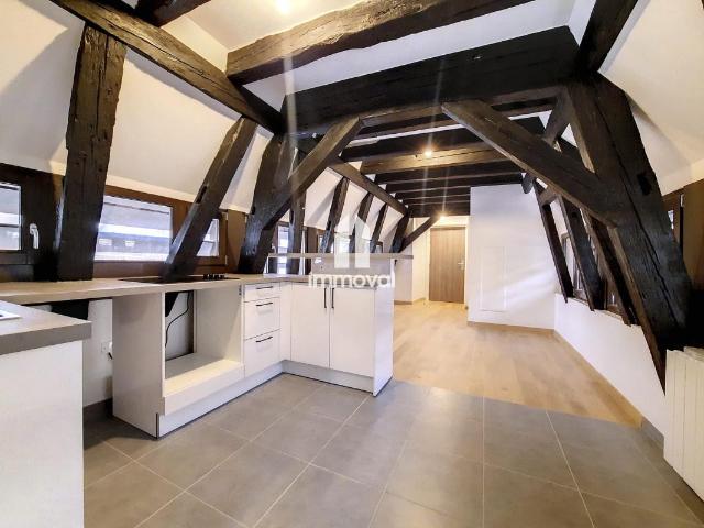Location Appartement 1 pièce 26m² STRASBOURG 67000