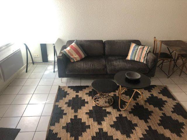 Location Appartement 1 pièce 27 m2 Lyon 1er