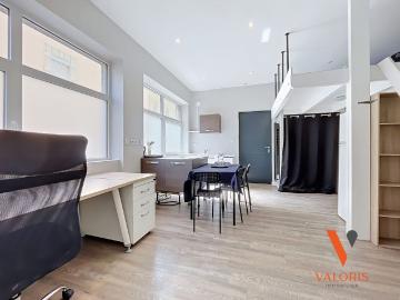 Location Appartement 1 pièce 27m² GRENOBLE 38000