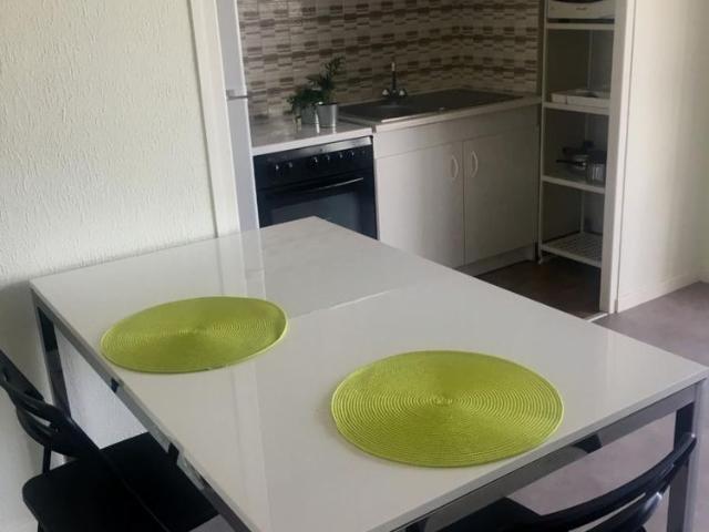 Location Appartement 1 pièce 28m² GRENOBLE 38100