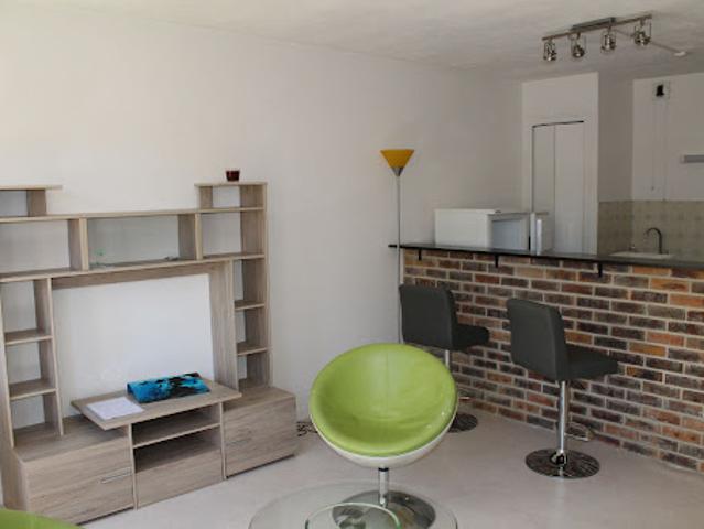 Location Appartement 1 pièce 29 m2 Auxerre