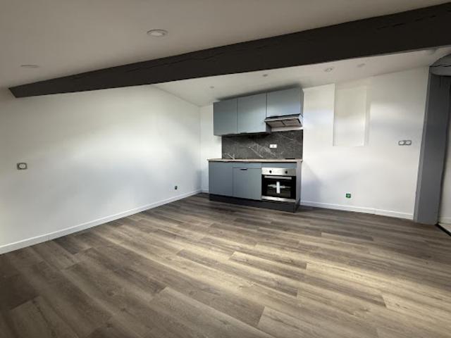 Location Appartement 1 pièce 29 m2 Saint Etienne