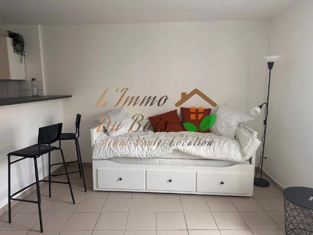 Location Appartement 1 pièce 29m² VIENNE 38200