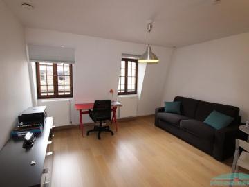 Location Appartement 1 pièce 29m² STRASBOURG 67000