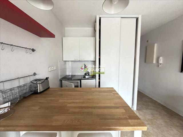 Location Appartement 1 pièce 20m²