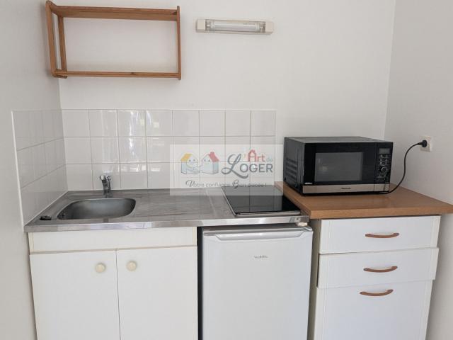 Location Appartement 1 pièce 20m² NANTES 44300