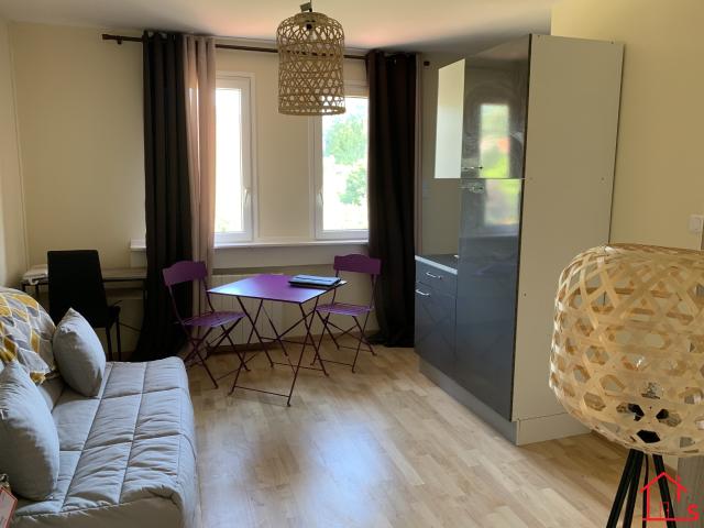 Location Appartement 1 pièce 20m² NANCY 54000