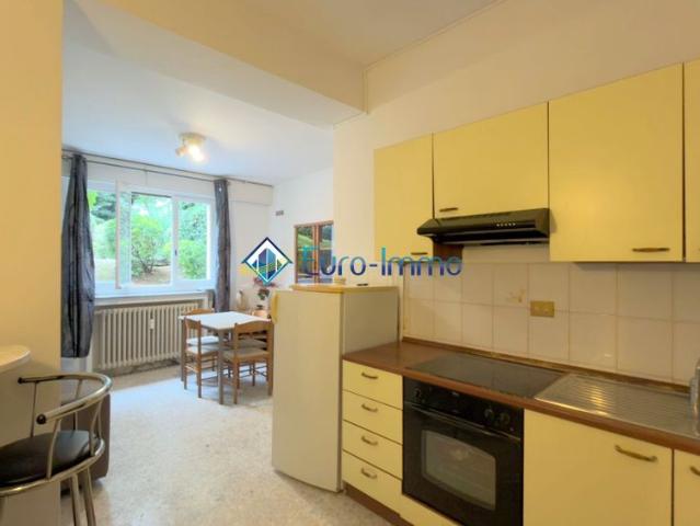 Location Appartement 1 pièce 20m² ROQUEBRUNE CAP MARTIN 06190