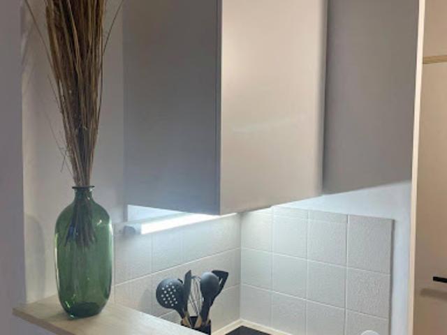 Location Appartement 1 pièce 21 m2 Lyon 7ème