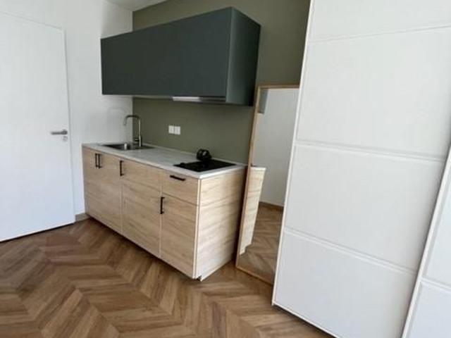 Location Appartement 1 pièce 21m² VILLEURBANNE 69100
