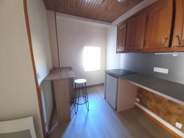 Location Appartement 1 pièce 21m² BRIOUDE 43100