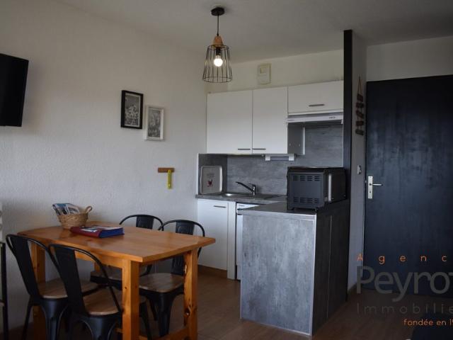 Location Appartement 1 pièce 22m² FONT ROMEU ODEILLO VIA 66120