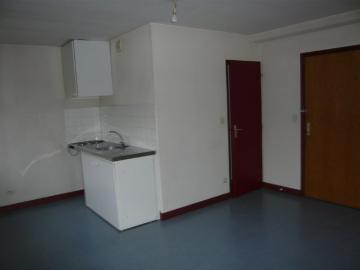 Location Appartement 1 pièce 22m² GRENOBLE 38000