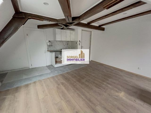 Location Appartement 1 pièce 22m² SELESTAT 67600