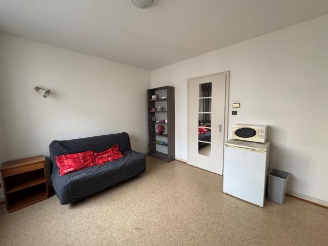 Location Appartement 1 pièce 22m² STRASBOURG 67000