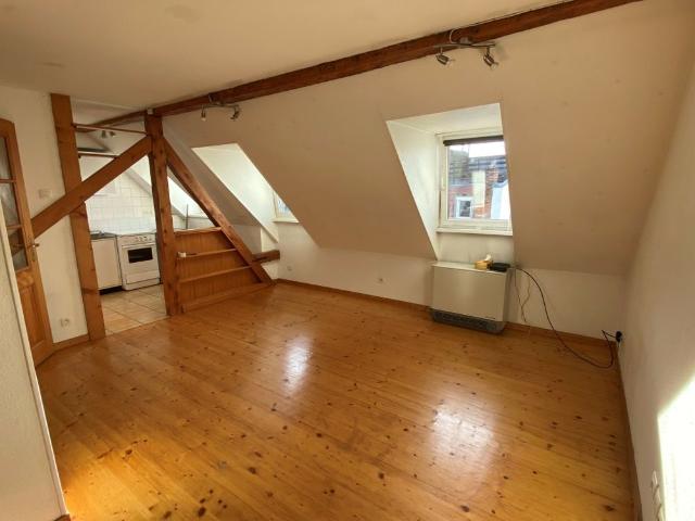 Location Appartement 1 pièce 22m² STRASBOURG 67000
