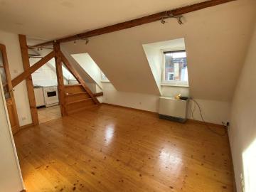 Location Appartement 1 pièce 22m² STRASBOURG 67000